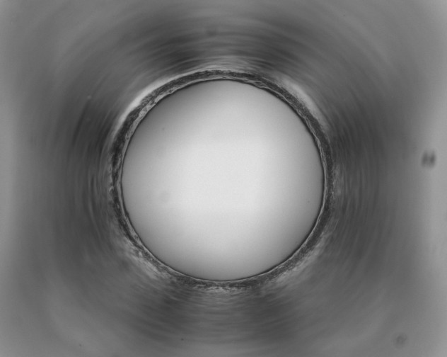 X0000091080923200708061334