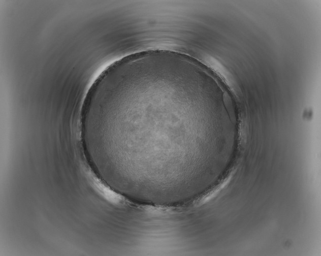 X0000091080924200708061334