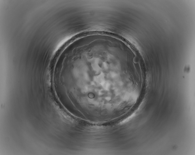 X0000091080925200708061334