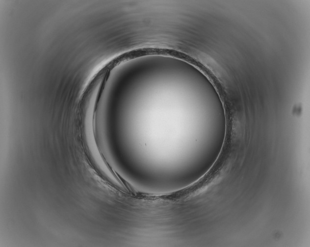 X0000091080926200708061334