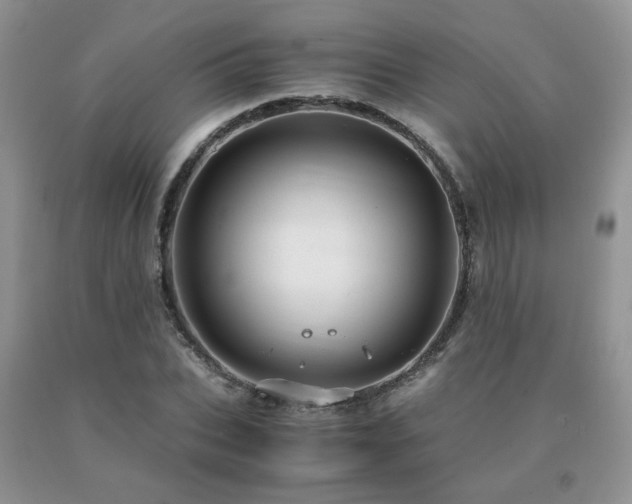 X0000091080927200708061334