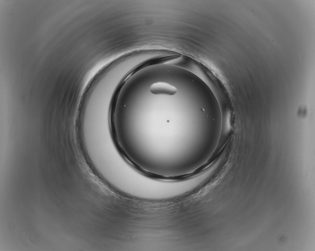 X0000091080928200708061334