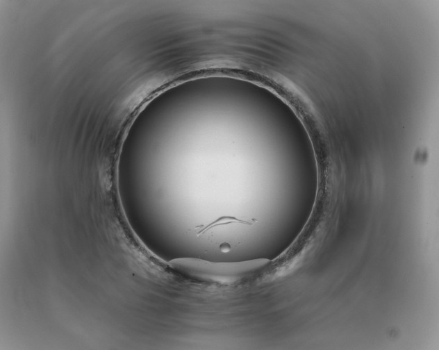 X0000091080929200708061334