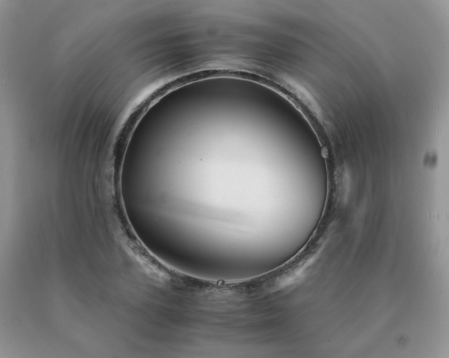 X0000091080931200708061334