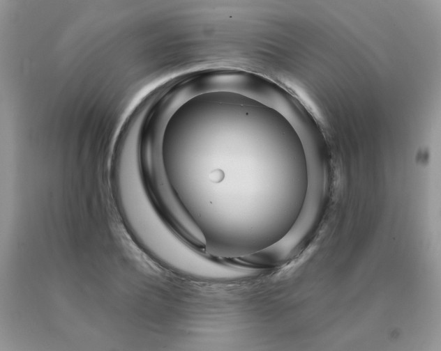 X0000091080932200708061334