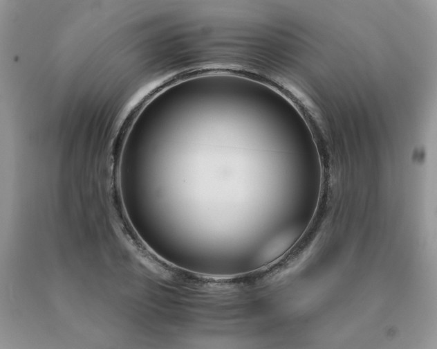 X0000091080933200708061334