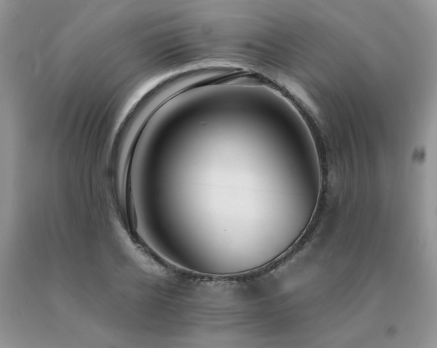 X0000091080934200708061334