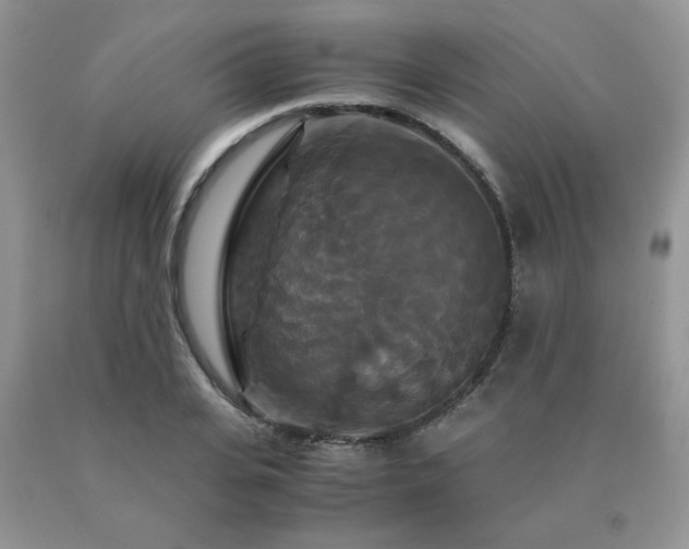 X0000091080935200708061334