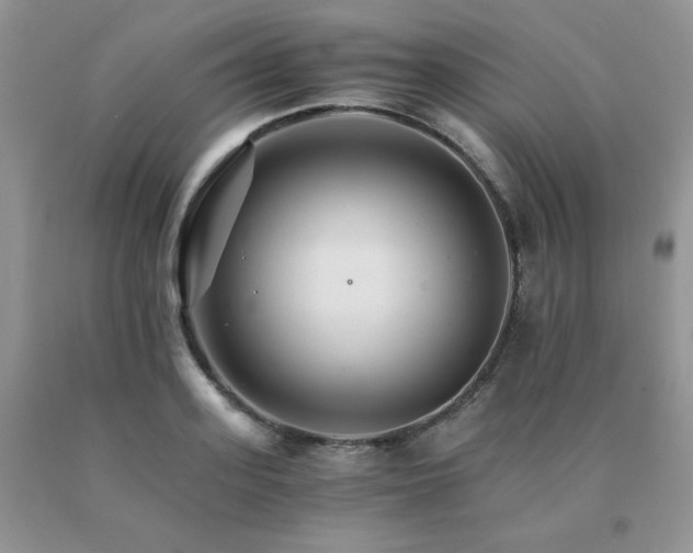 X0000091080939200708061334