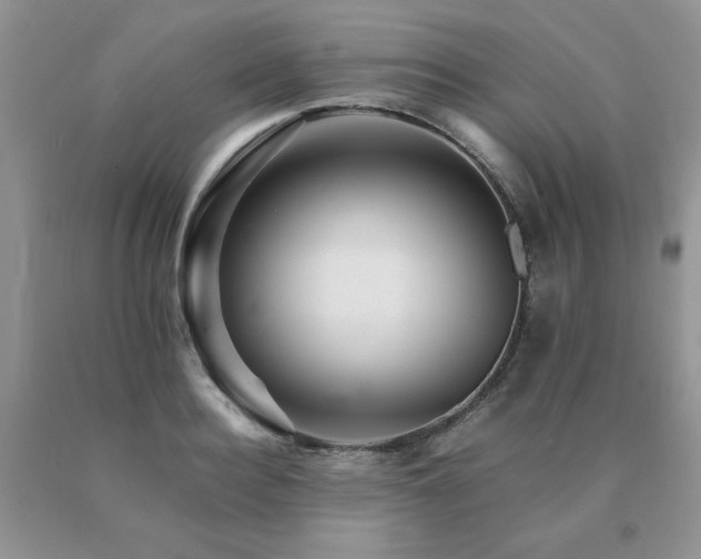 X0000091080940200708061334