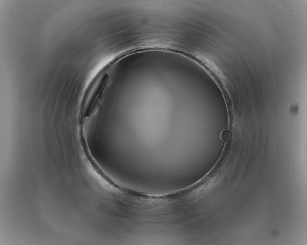 X0000091080941200708061334