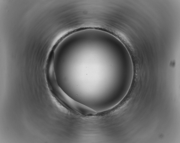 X0000091080942200708061334