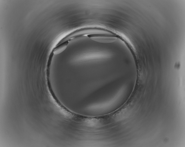 X0000091080943200708061334