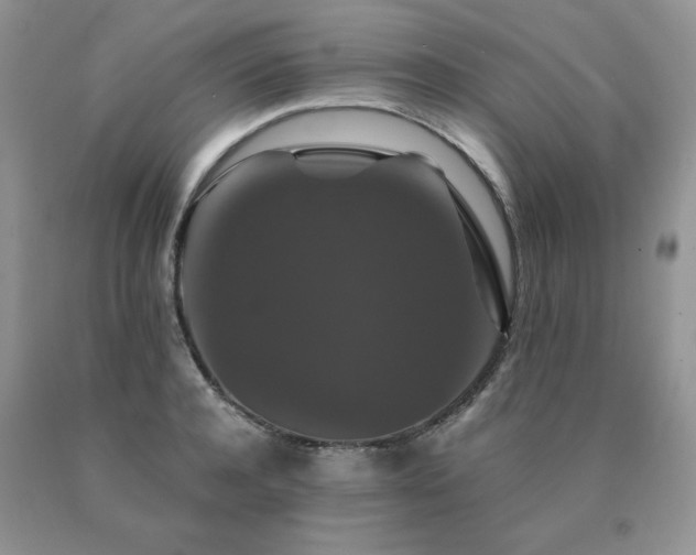 X0000091080944200708061334