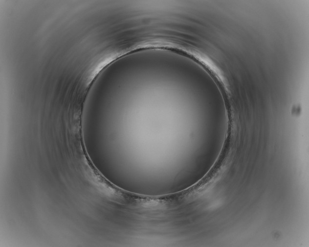 X0000091080945200708061334