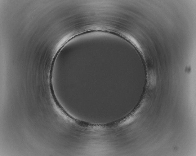 X0000091080946200708061334