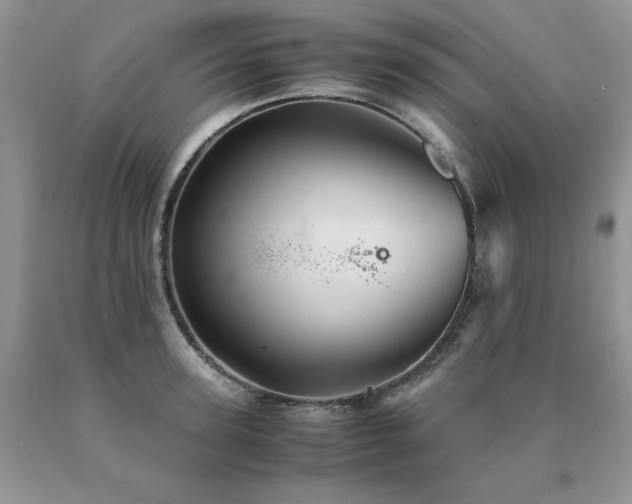 X0000091080947200708061334