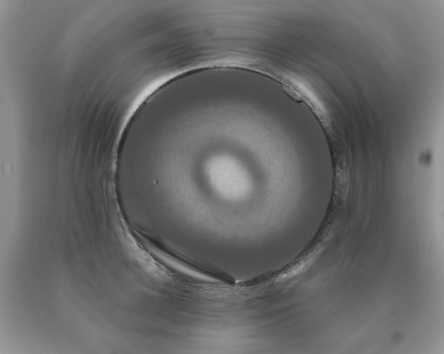 X0000091080948200708061334