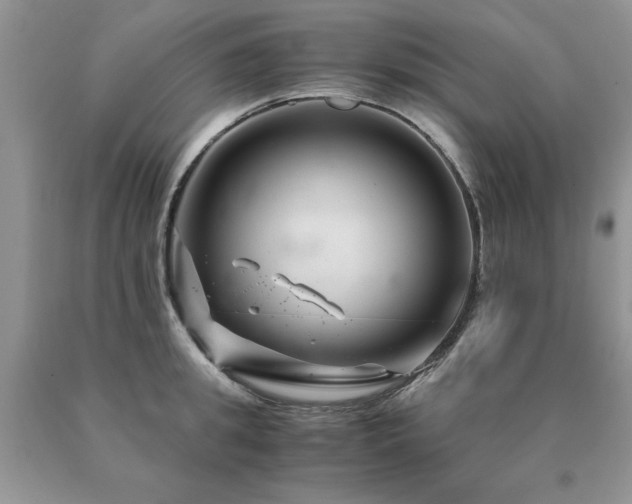 X0000091080949200708061334