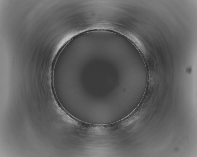 X0000091080950200708061334