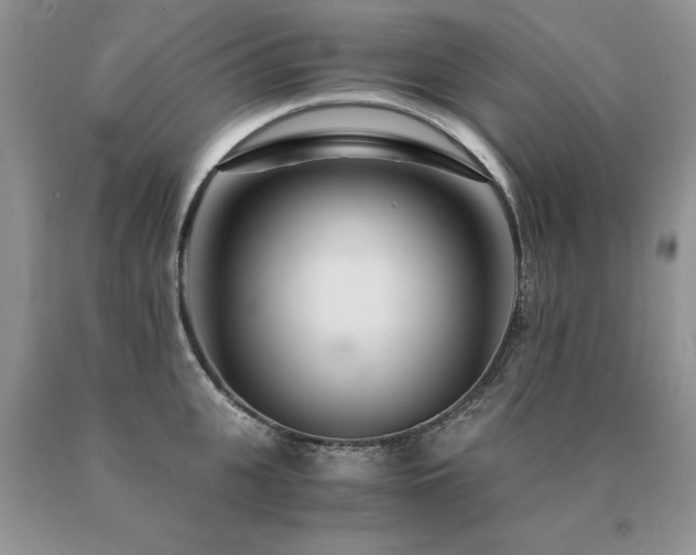 X0000091080951200708061334