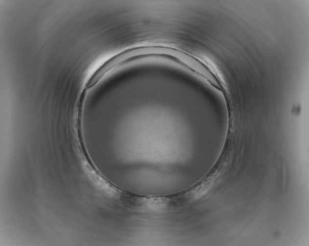 X0000091080952200708061334