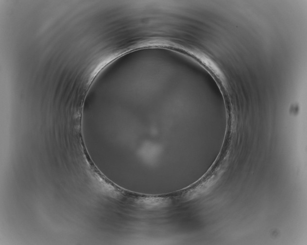 X0000091080953200708061334