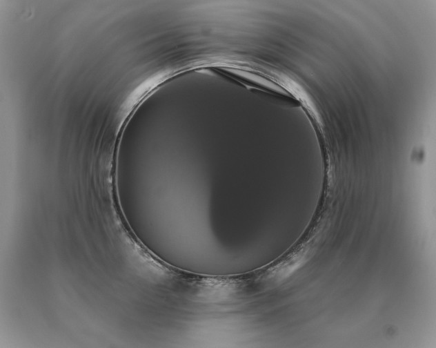 X0000091080954200708061334