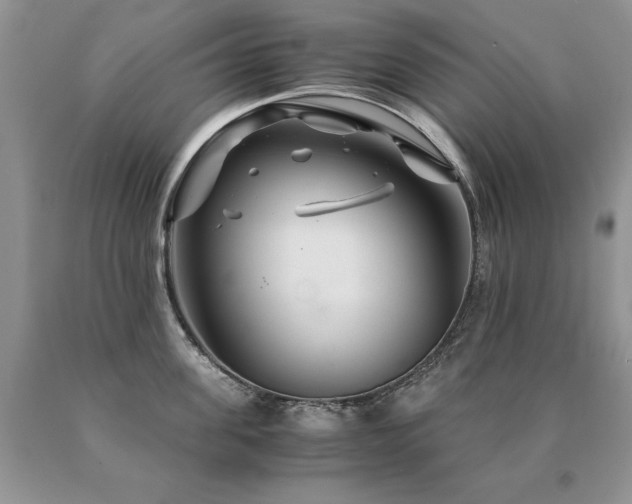 X0000091080955200708061334