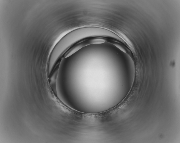 X0000091080956200708061334