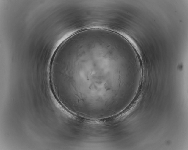 X0000091080957200708061334