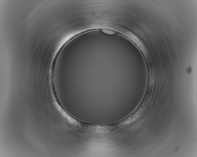 X0000091080958200708061334