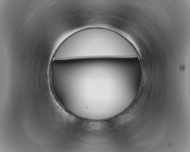 X0000091080959200708061334