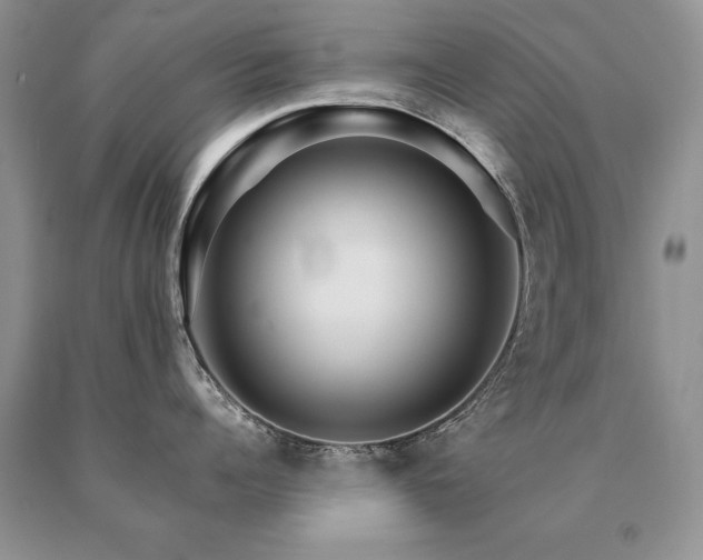 X0000091080960200708061334