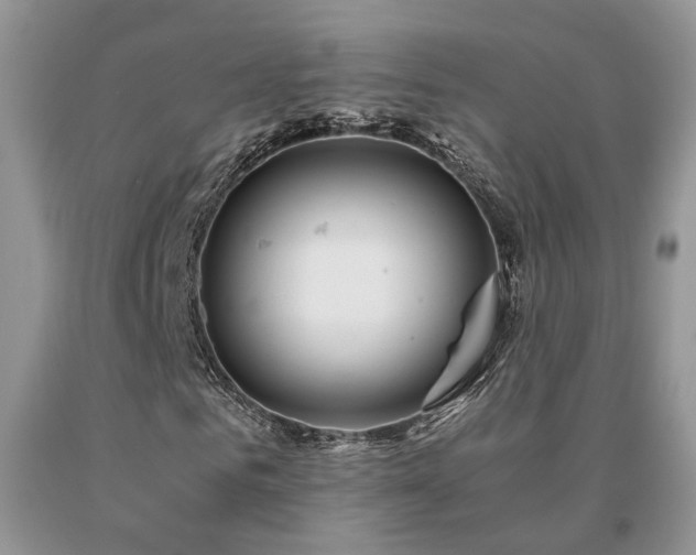 X0000091080961200708061334