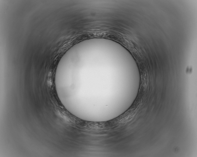 X0000091080962200708061334