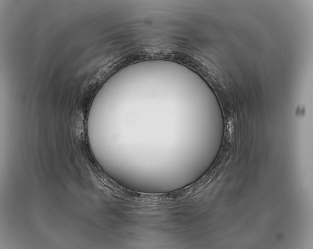 X0000091080963200708061334