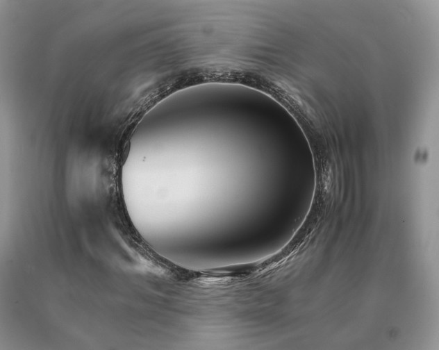 X0000091080964200708061334