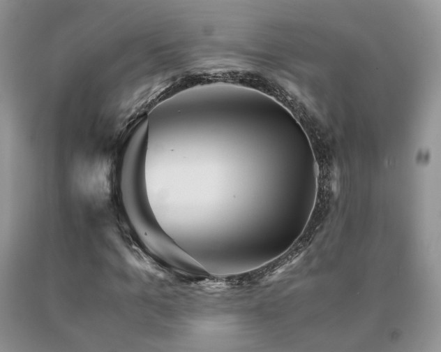 X0000091080965200708061334