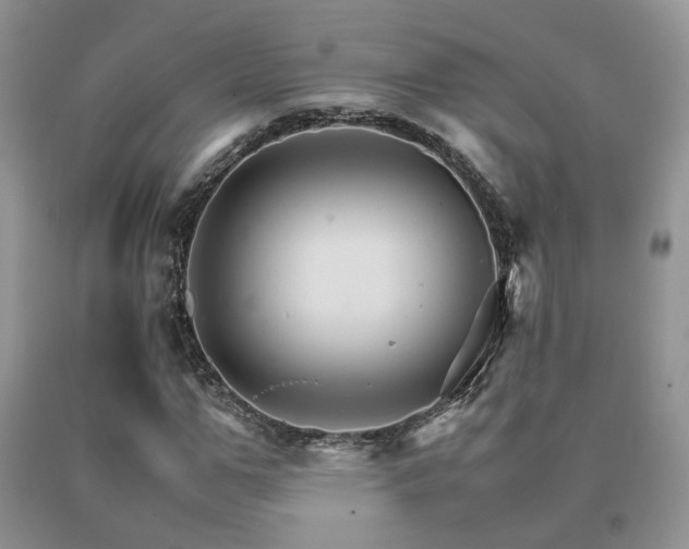 X0000091080967200708061334