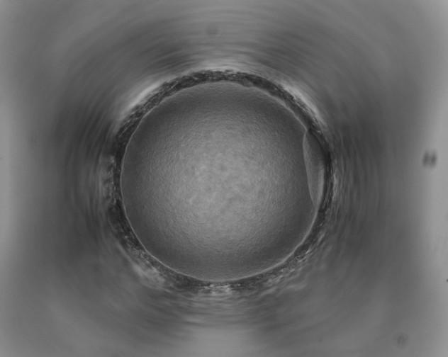 X0000091080968200708061334