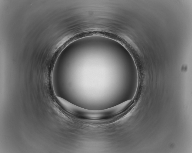 X0000091080969200708061334