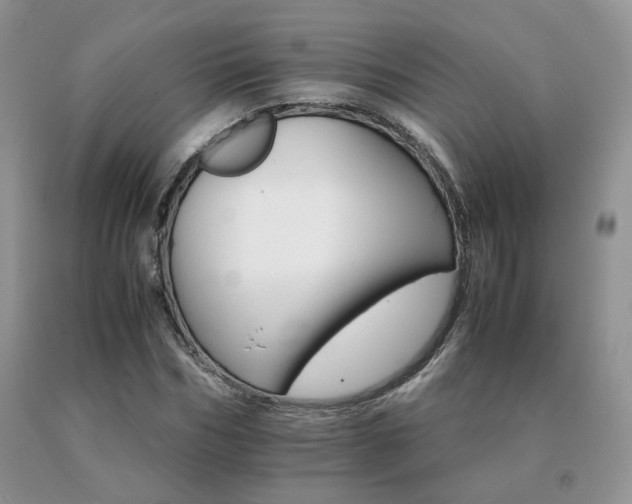 X0000091080970200708061334