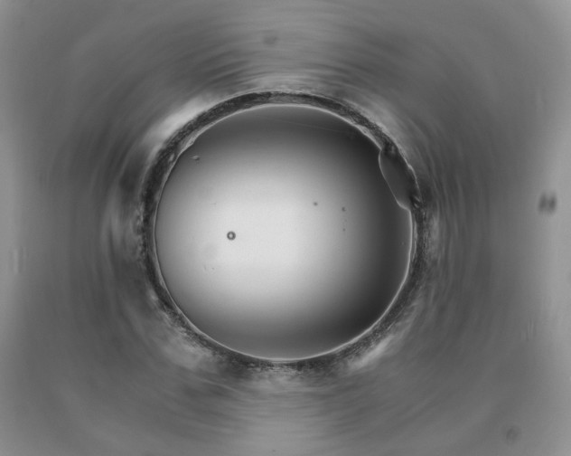 X0000091080971200708061334