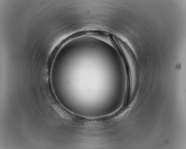 X0000091080973200708061334