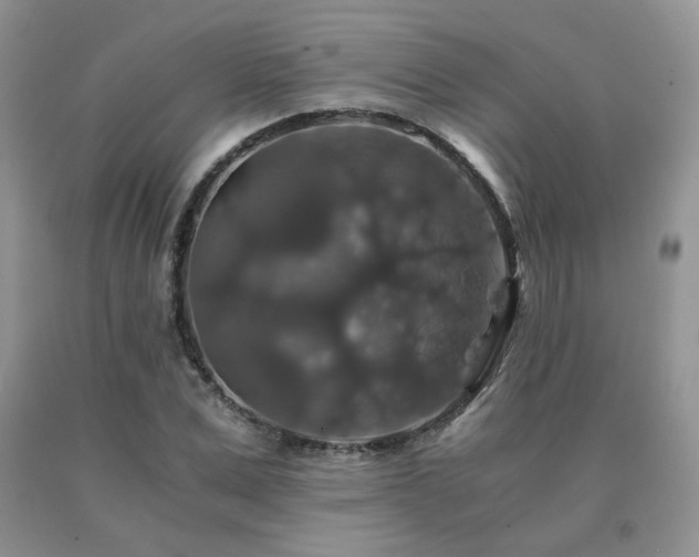 X0000091080975200708061334