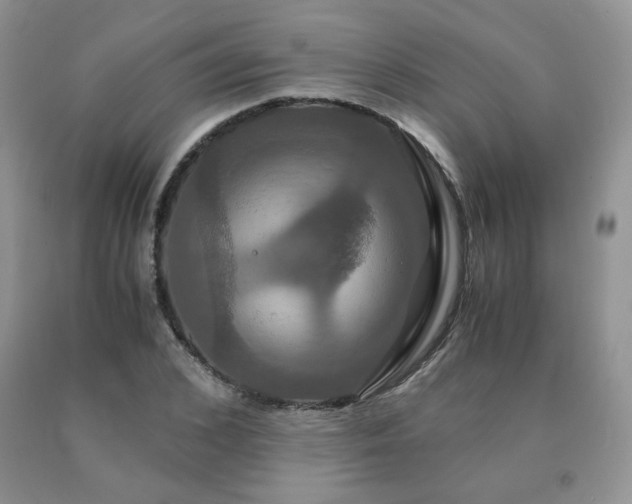 X0000091080976200708061334