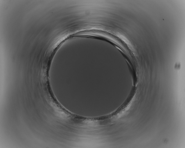 X0000091080977200708061334