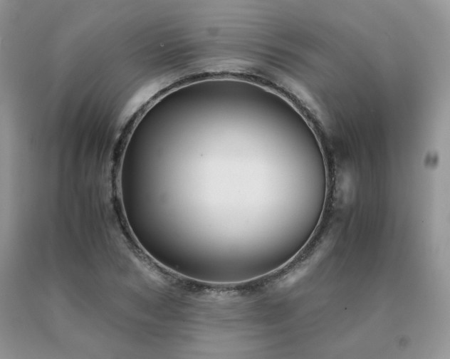 X0000091080978200708061334