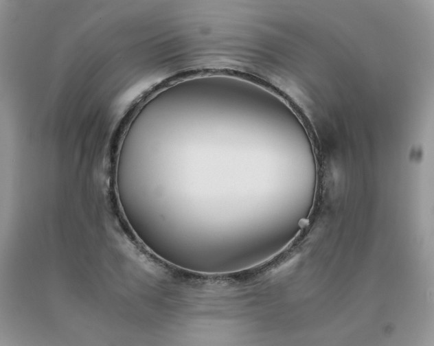 X0000091080979200708061334